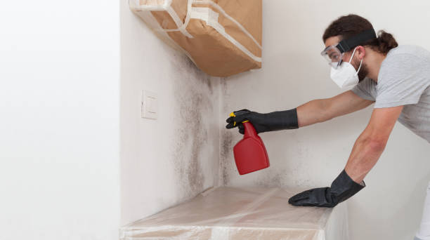 Professional Bathroom Mold Removal technician working in Haymarket, VA