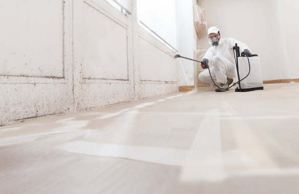 24/7 Emergency Bathroom Mold Removal experts in Haymarket, VA